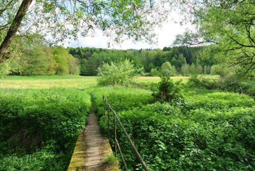 Apartamento Ferienwohnung Zur M�hle
