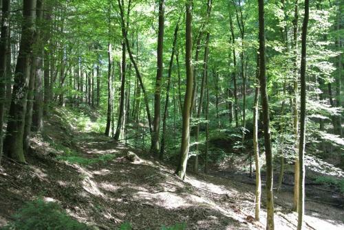 Apartamento Ferienwohnung Zur M�hle