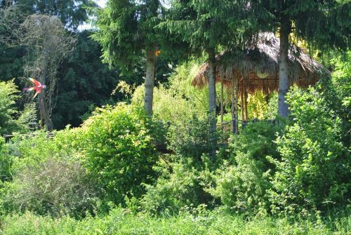 Apartamento Ferienwohnung Zur M�hle
