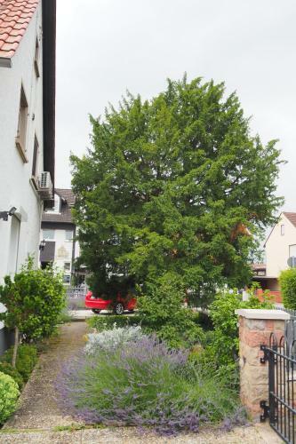 Apartamentos Hortensie Speyer