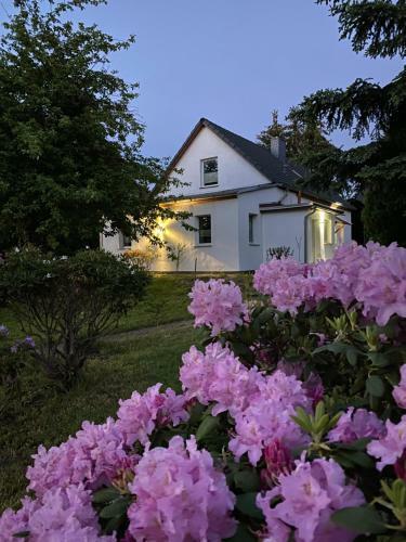 Apartamento Gem�tliches Ferienhaus