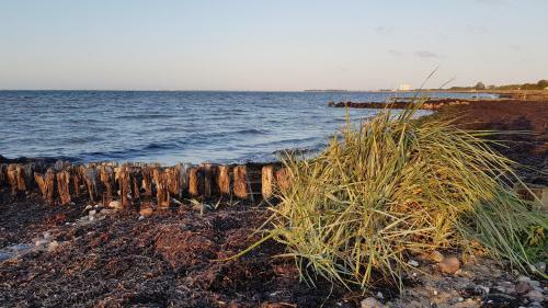 Apartamento Fehmarn-residenz