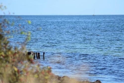 Apartamento Fehmarnstrand 77 Whg 5