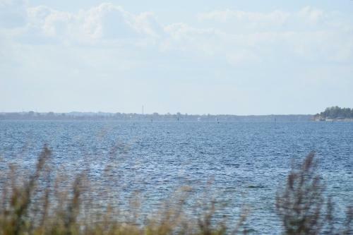 Apartamento Fehmarnstrand 78 Appartement 10