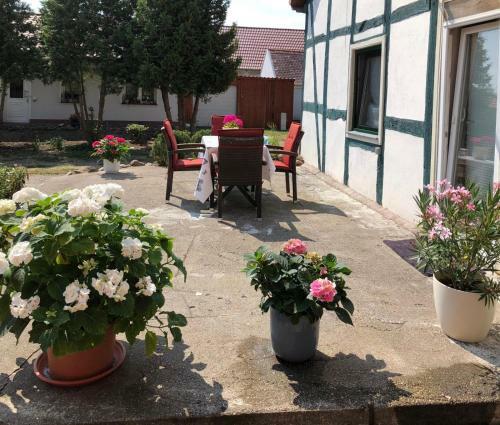 Apartamento Ferienwohnung,haus Elisa 1
