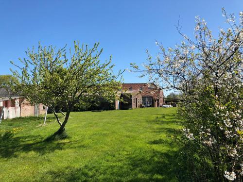 Apartamento Ferienwohnungen Am M�hlenh�gel