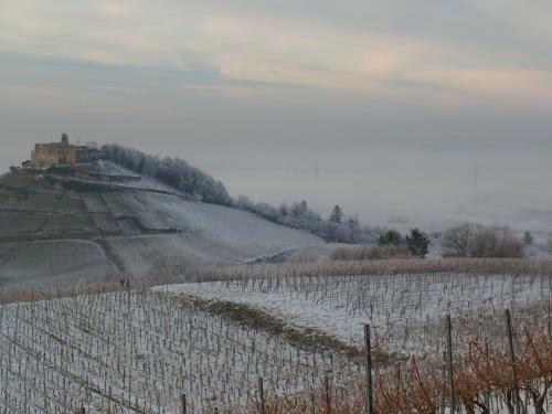 Bed & Breakfast Villa Burgblick - Luxury Bnb