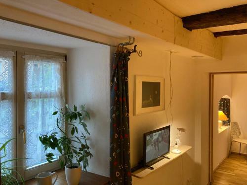 Apartamento B�renbad Staufen Grunern