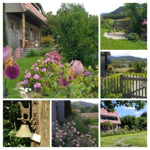 Apartamentos Ferienwohnung Belchenblick