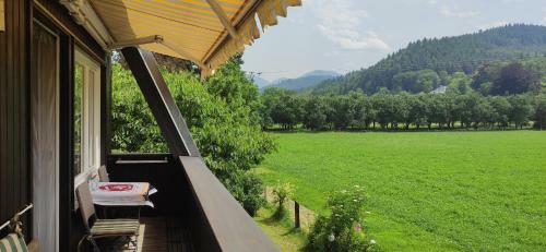 Apartamentos Ferienwohnung Belchenblick