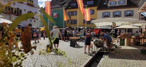 Apartamentos Ferienwohnung Belchenblick