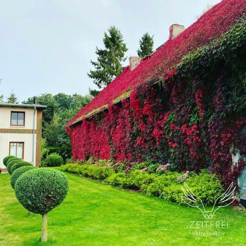 Apartamento "zeitfrei" Urlaubappartememts