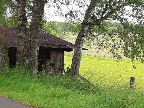 Apartamento Alte Schule Steinen