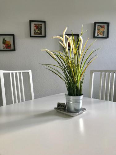 Apartamento Ferien-whg St�nkel N�he Steinhuder Meer