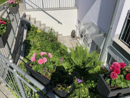 Apartamento Casa Viola Bodenseeblick