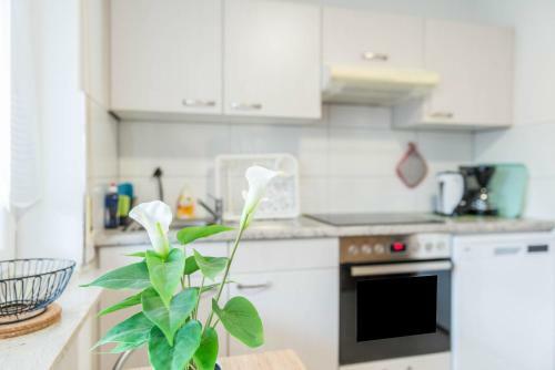 Apartment Neunzehn