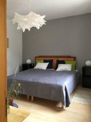 Apartment Am Alten Markt