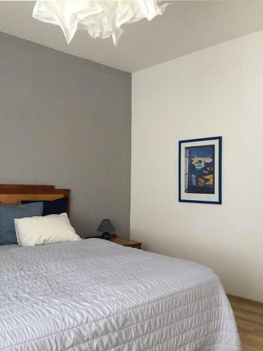 Apartment Am Alten Markt