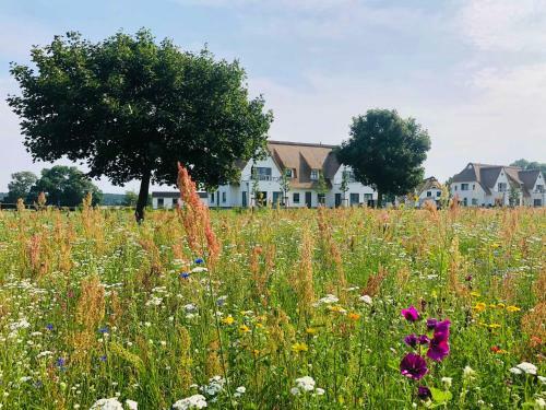 Apartamento Urlaub De Luxe Unter Reet Telemann