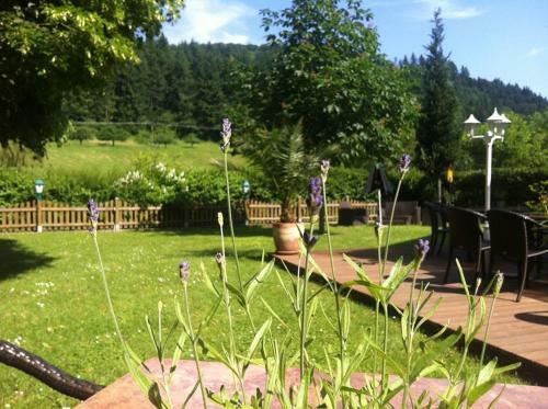 Hotel Landgasthof Hirsch
