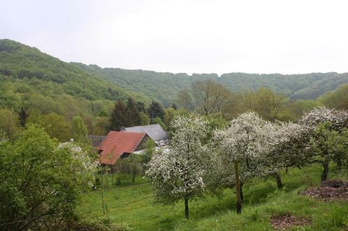 Ferienhaus Sprink Vulkaneifel