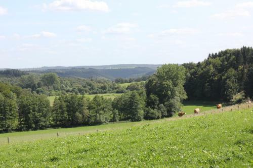 Ferienhaus Sprink Vulkaneifel
