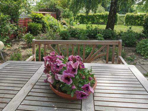 Apartamento Lavendelmond Ferien