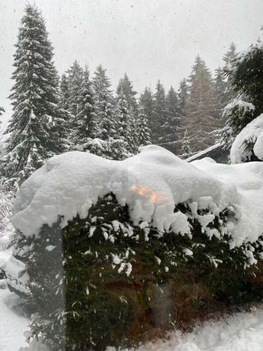 Sch�nwald Waldchalet Am Musenberg
