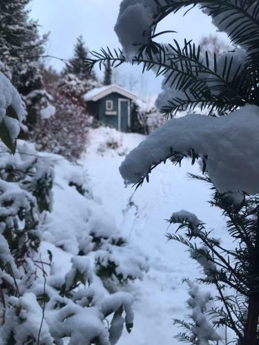 Sch�nwald Waldchalet Am Musenberg
