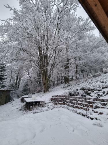 Apartamento Ferienwohnung Schneeberg