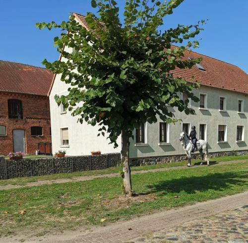 Apartamento Ferienwohnung Urlaub Mit Pferd