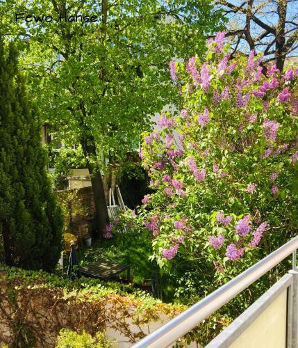 Ferienhaus - Am K�tertor - Alle Apartments Mit Terrasse Oder Balkon