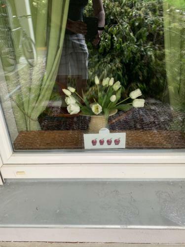 Apartamento Fewo Hansa