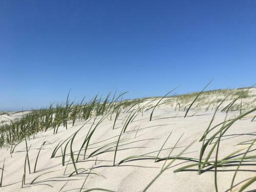 Ferienhaus-nordseebirke