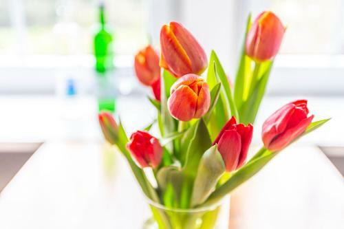 Apartamento Pension Talblick