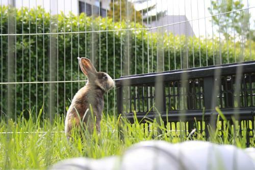 Apartamento Unique Appartement Sulzfeld Am Main