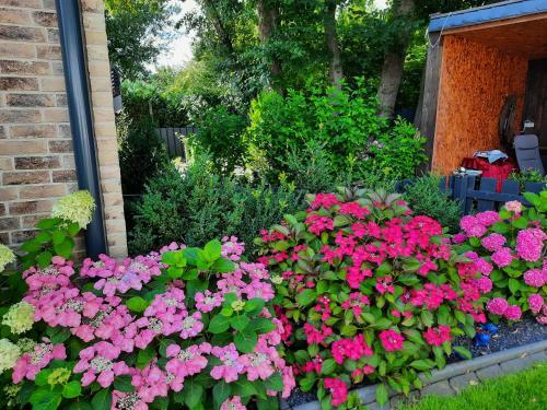 Apartamento Ferienwohnung F�hr