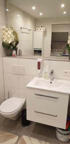 Einzimmer Apartments Im Si-centrum Stuttgart-m�hringen
