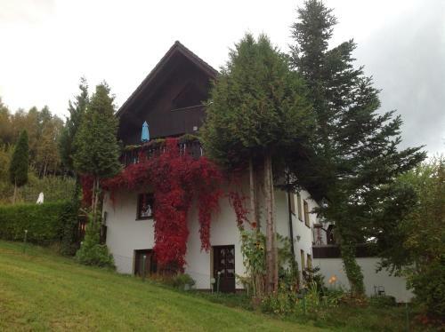 Apartamento Waldblick - A62086