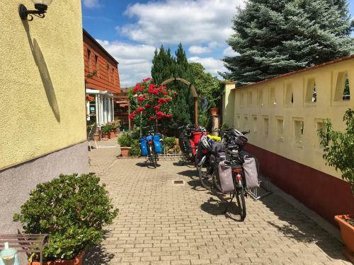 Hostal Pension- & Caf�garten Luisenhof