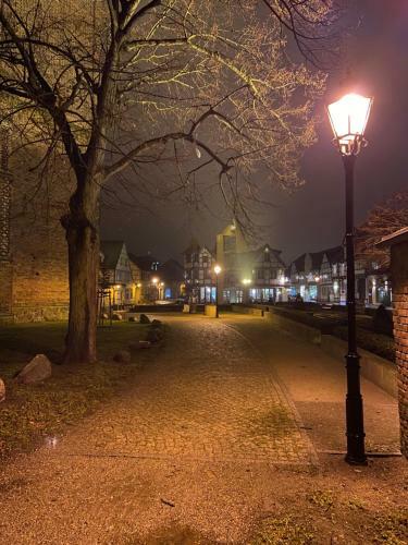 Hostal Pension- & Caf�garten Luisenhof