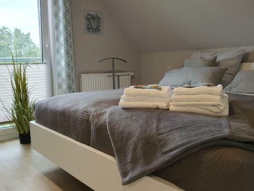 Ferienhaus D�nengras****