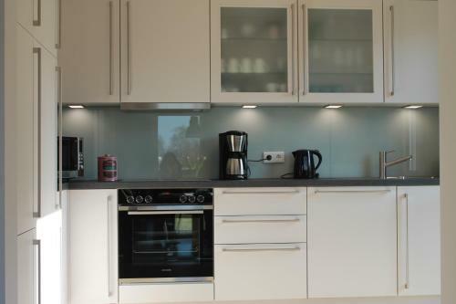 Ferienhaus D�nengras****