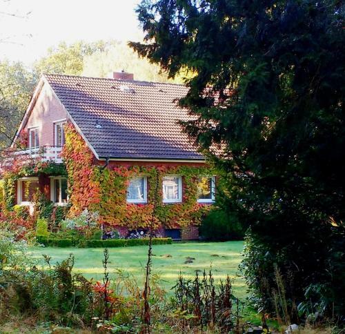 Apartamento Zum Emsblick