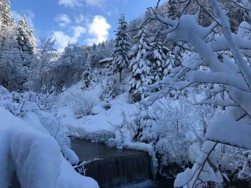 Apartamento Appartements Am Alpbach