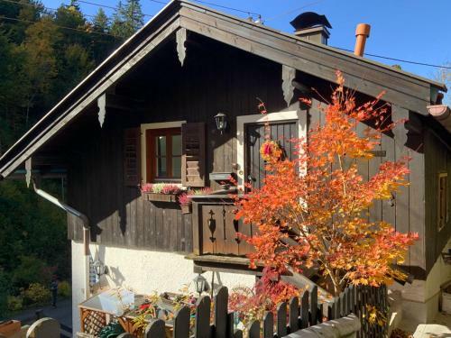 Apartamento Appartements Am Alpbach