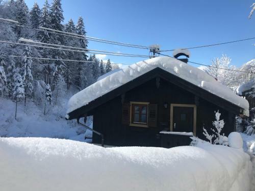 Apartamento Appartements Am Alpbach