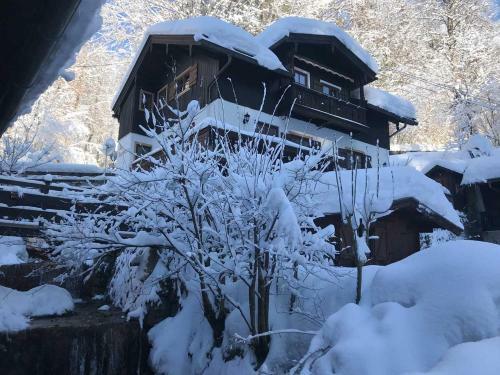 Apartamento Appartements Am Alpbach