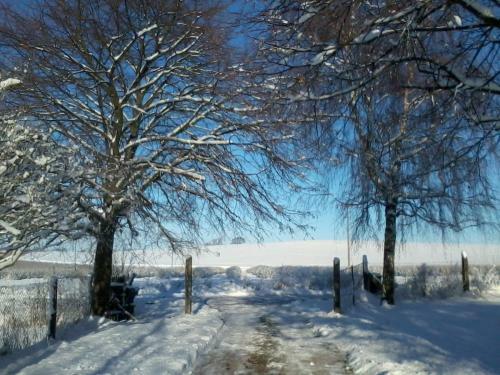 Apartamento Forsthof Niendorf