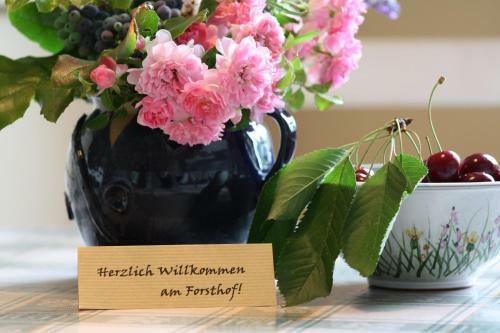 Apartamento Forsthof Niendorf